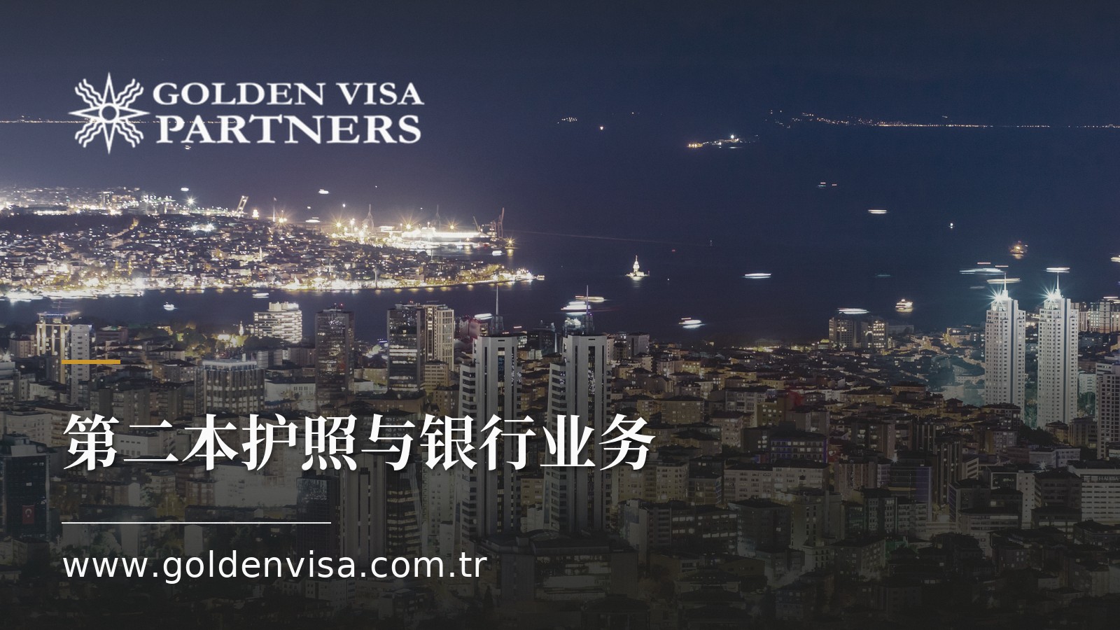 第二本护照与银行业务:商务旅行实用指南